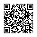 QR Code for Fireworks page